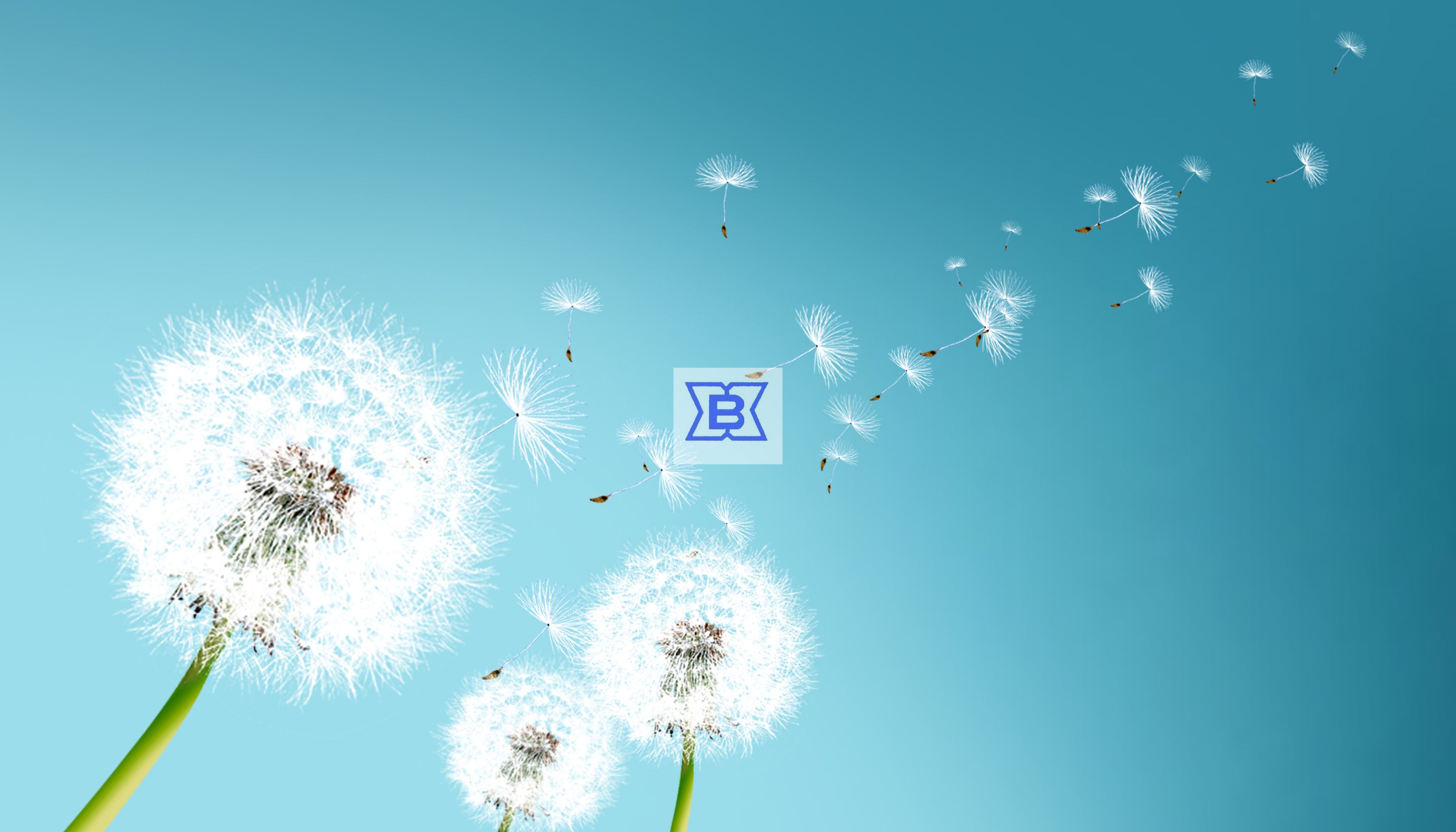 游艇会·yth206(中国)最新官网